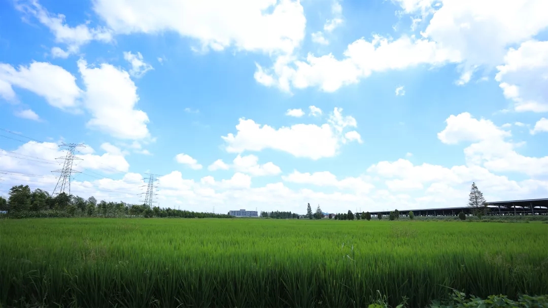 【乡村振兴在路上】有村曰新阳 “新心向阳”谱振兴