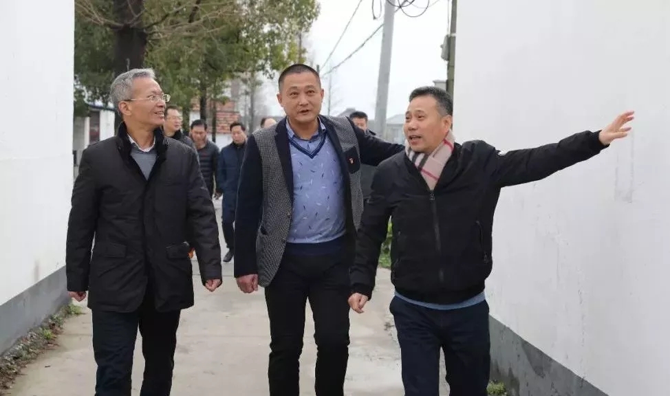 【乡村振兴在路上】遇见古镇 绿色放心蔬菜为您守好安全底线