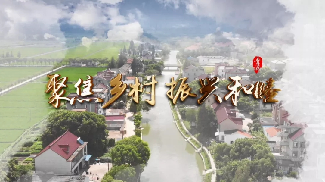 【乡村振兴在路上】党建网格巧助力 “和睦一家”好愿景
