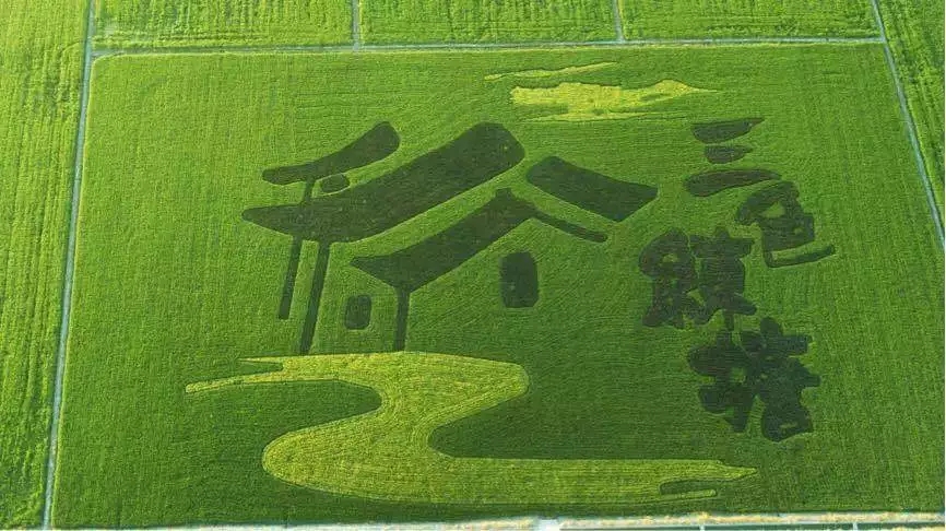 【乡村振兴在路上】在乡村振兴中展望“三生融合 三色辉映”