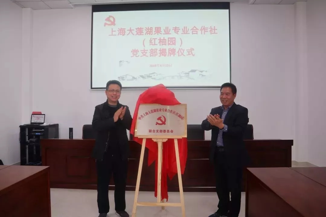 【乡村振兴在路上】合作社党建新动态 支部建在红柚园