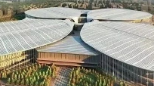 【护航进博会】“进博有我”主题征集展示（七）