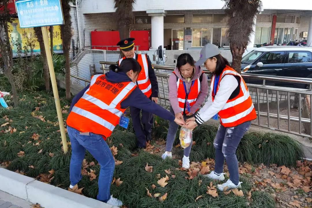 【护航进博会】志愿行动丨这样护航，很进博！（二）