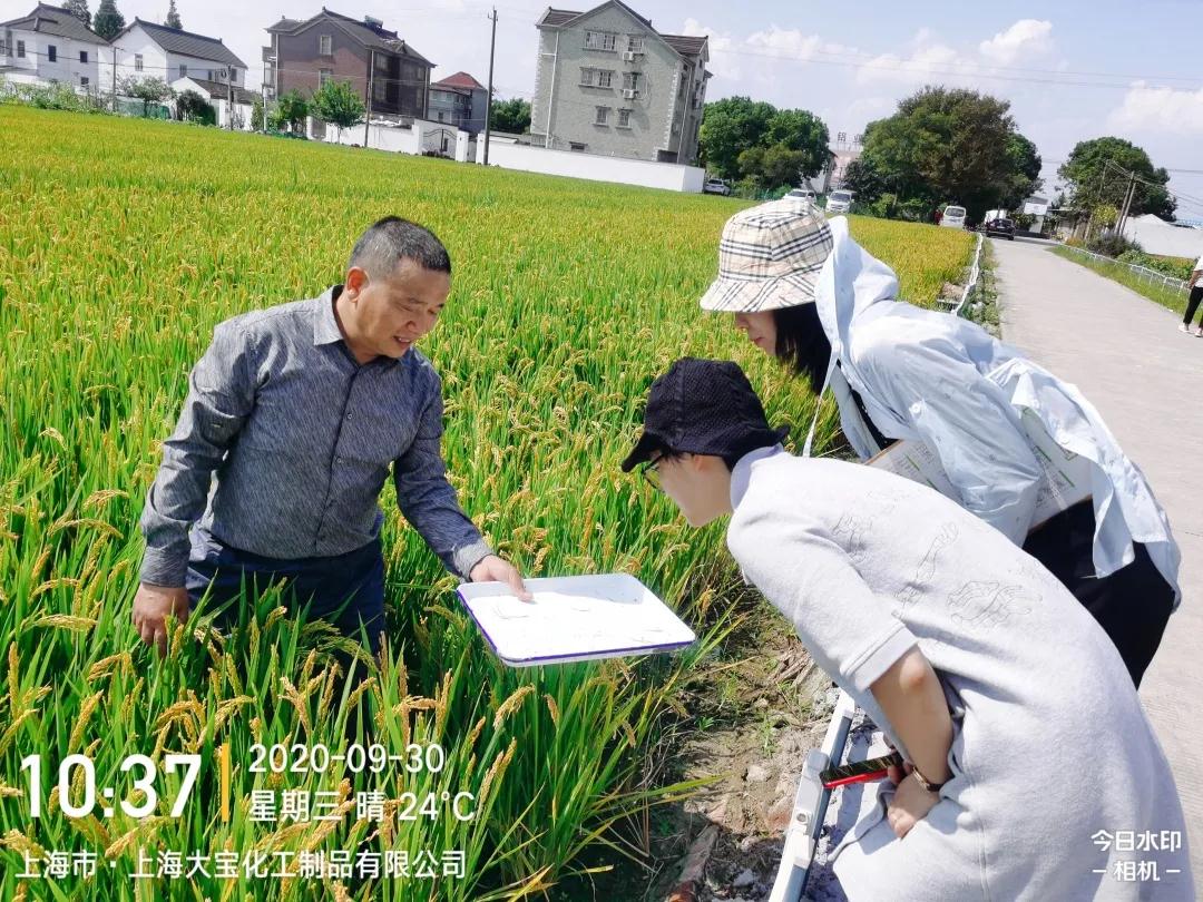 【乡村振兴在路上】党建统领“农业+” 乡村焕发新活力
