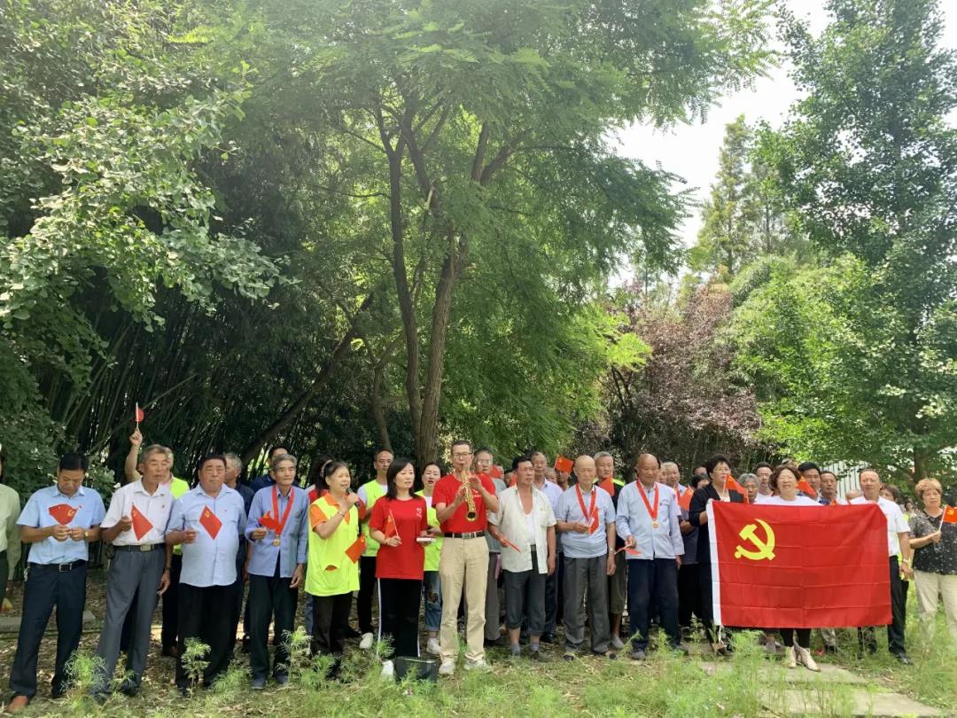【乡村振兴在路上】练塘镇徐练村：银杏绿带党建红 乡村振兴正当时