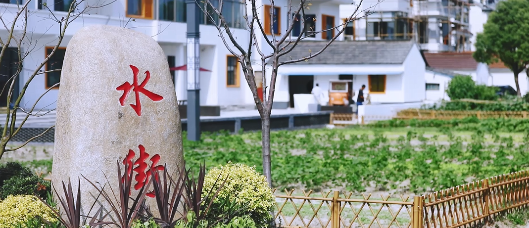 【乡村振兴在路上】赵巷镇和睦村：和为贵 睦为美——江南都市中的一抹田园水乡