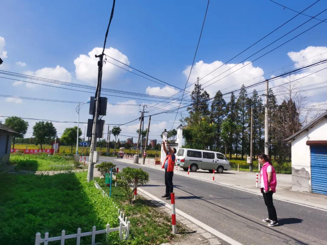 【乡村振兴在路上】朱家角镇林家村：党建铺就艺术路 “稻”“书”香里话振兴