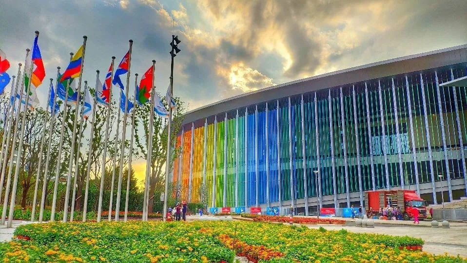 【关注】第五届进博会倒计时100天，看青浦如何全力做好准备