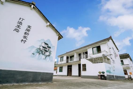 【乡村振兴在路上】白鹤镇：精心绘就美丽蓝图，奋力打造魅力太平村