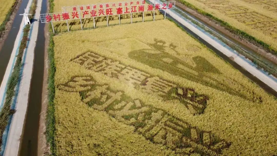 【乡村振兴在路上】赵巷镇：为乡村注“五力” 留住美丽“乡愁”