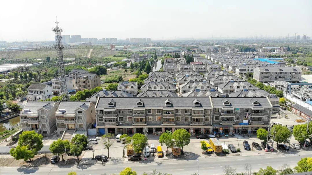 【乡村振兴在路上】华新镇：党建铺就振兴路 描绘“村美、业兴、乡风淳“新画卷