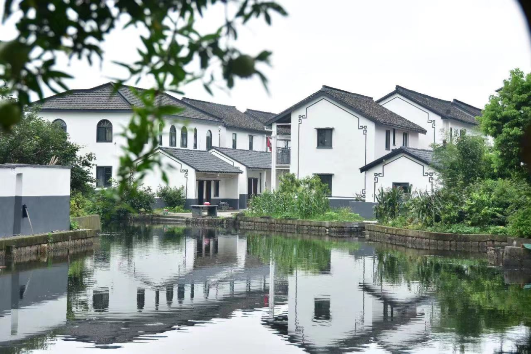 【乡村振兴在路上】莲湖村：红色资源赋能乡村振兴