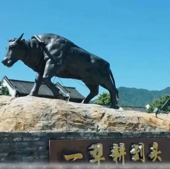 【代表风采】《二十大代表风采录》┆《新时代的“追风者”》《一犁耕到头》