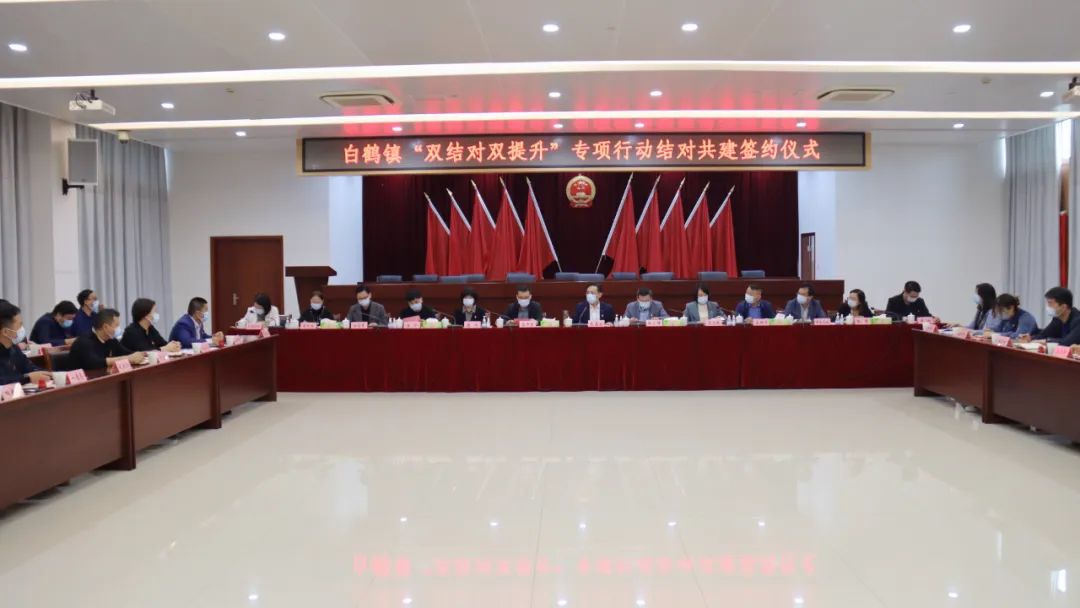 【基层治理】党建聚力 同心同治 共绘基层治理“新图景”（二）