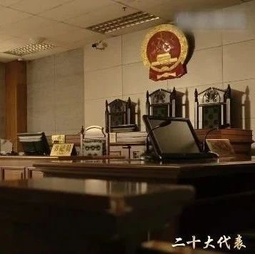 【代表风采】《二十大代表风采录》┆《青春守护者》《永不止步》《茶山书记》