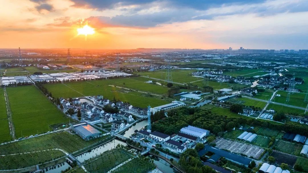 【基层治理】必须点赞！重固镇社会治理经验入选全国乡村治理典型案例！