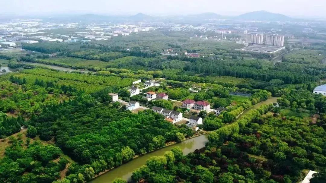 【乡村振兴在路上】赵巷镇：“生态+产业+文化” 赋能振兴脉搏