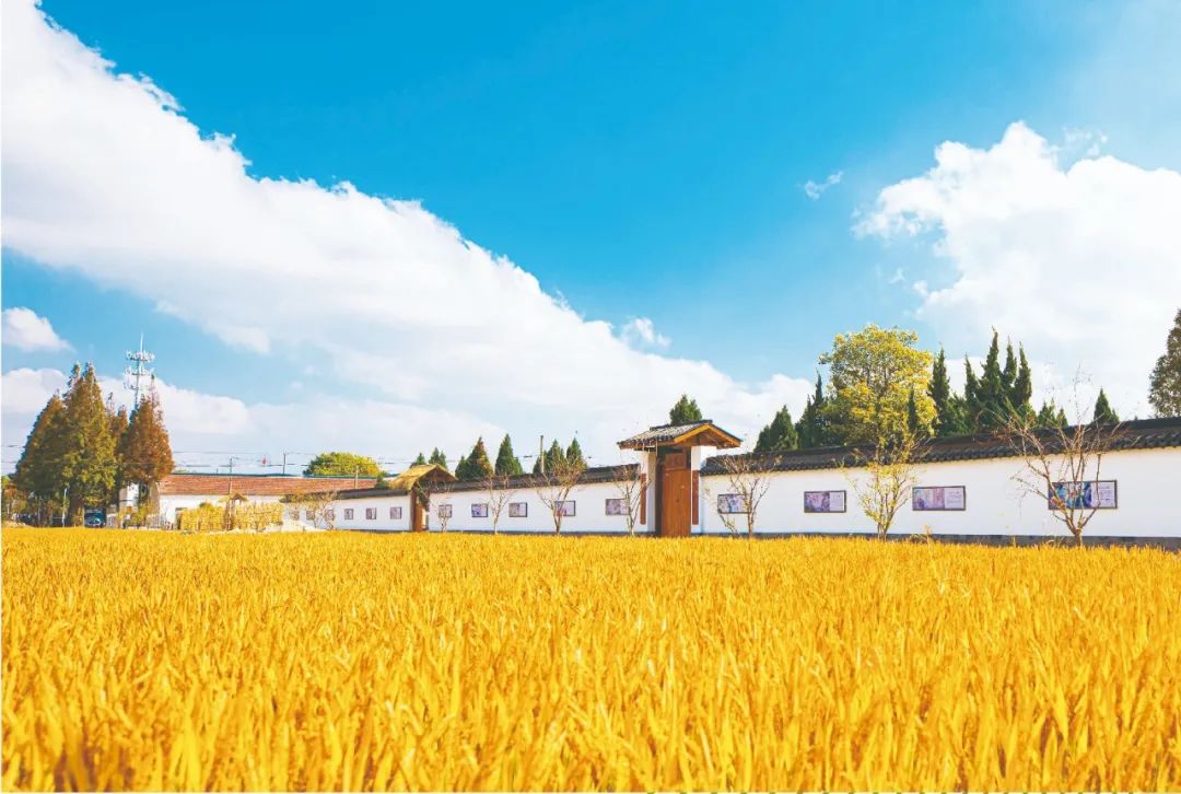 【乡村振兴在路上】党建引领增动能 结对共建结硕果②