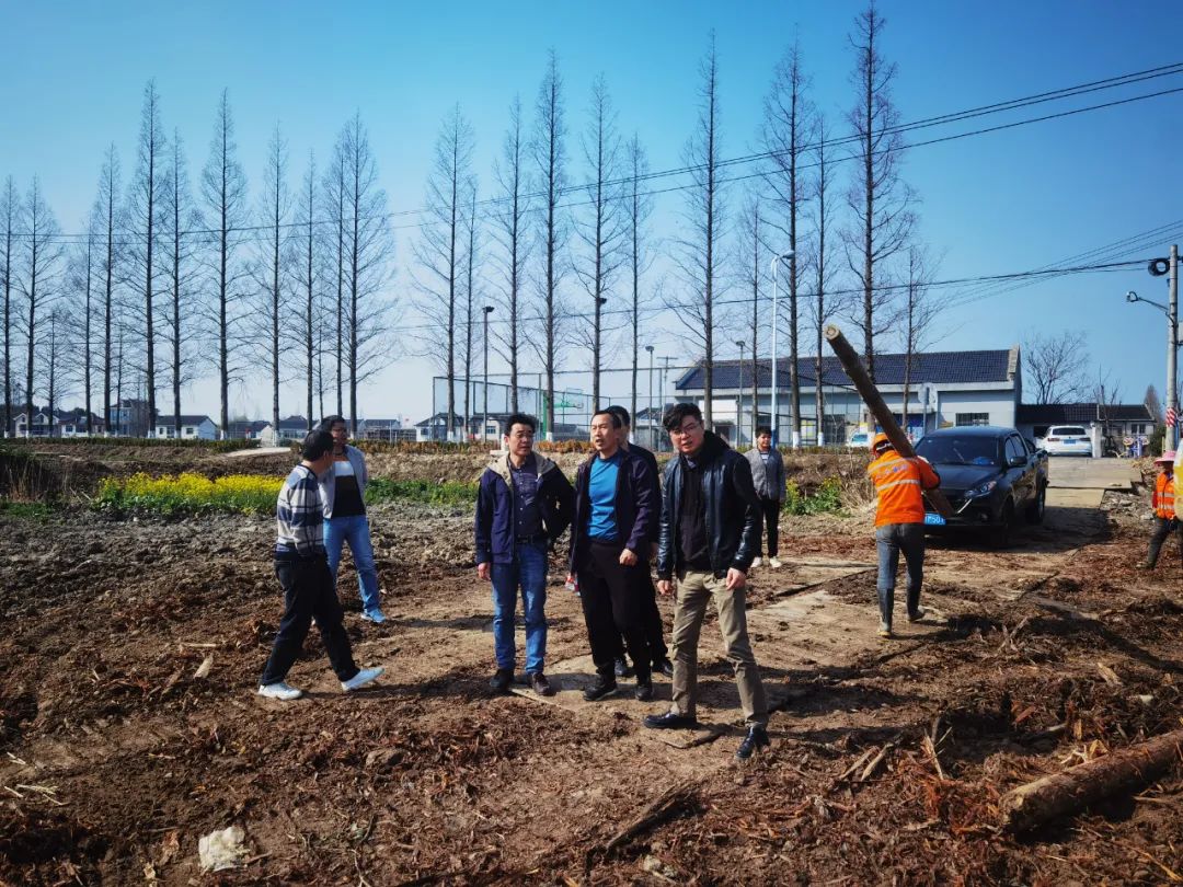 【基层治理】区水务质监站：深化结对共建 筑牢生态绿色基底