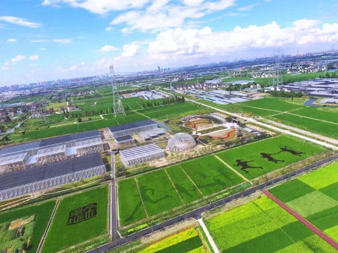 【乡村振兴在路上】重固镇：激发“五老”硬核力 “智汇泉”涌振兴路