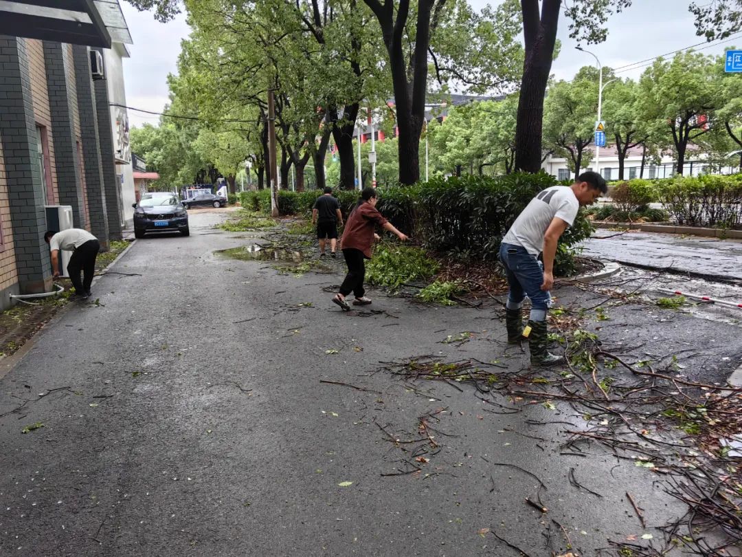 【乡村振兴在路上】闻令而动，逆风前行——青浦区驻村第一书记防台抢险显担当