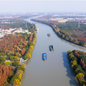 沪水畔 慢时光丨青浦区练塘镇：去生态田园 赏水美乡村
