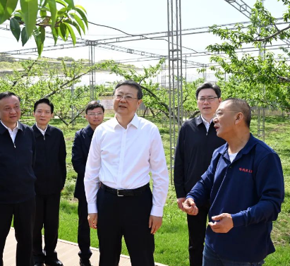 【头条】以全面深化改革破解乡村振兴难点堵点问题！陈吉宁龚正深入郊区镇村园区开展专题调研，召开现场推进会划重点
