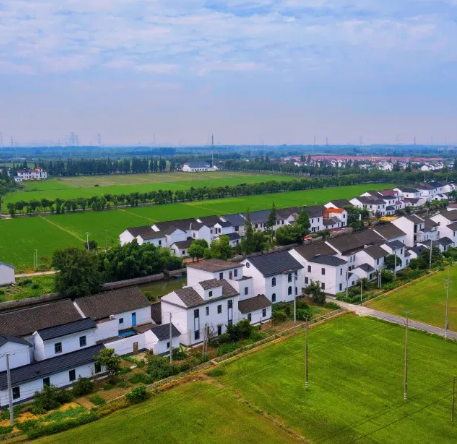 【乡村振兴在路上】练塘镇：以党建为旗 聚多元之力在乡村振兴赛道上跑出“加速度”