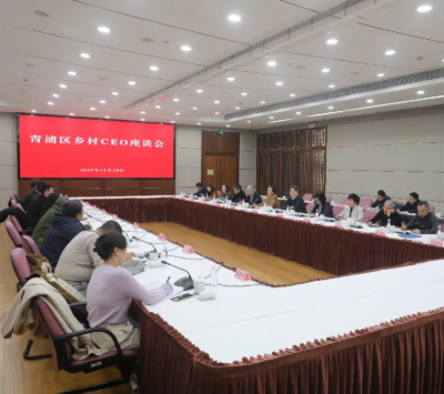【关注】青浦举行乡村CEO座谈会，共绘超大城市乡村振兴新图景