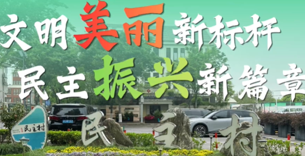 选调生看青浦丨民主村：国展门户富民路 巷驻温情幸福家