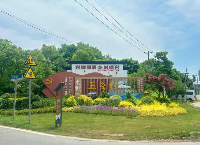 【青浦选调之声】张艺萱：以初心扎根王金，以实干赋能振兴