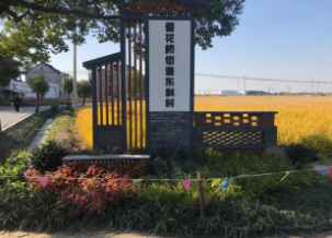 【青浦选调之声】王熙睿：锚定城郊区位优势 探索乡村振兴之路