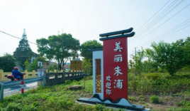 【青浦选调之声】王乐为：扎根基层沃土 书写产业振兴的青春答卷